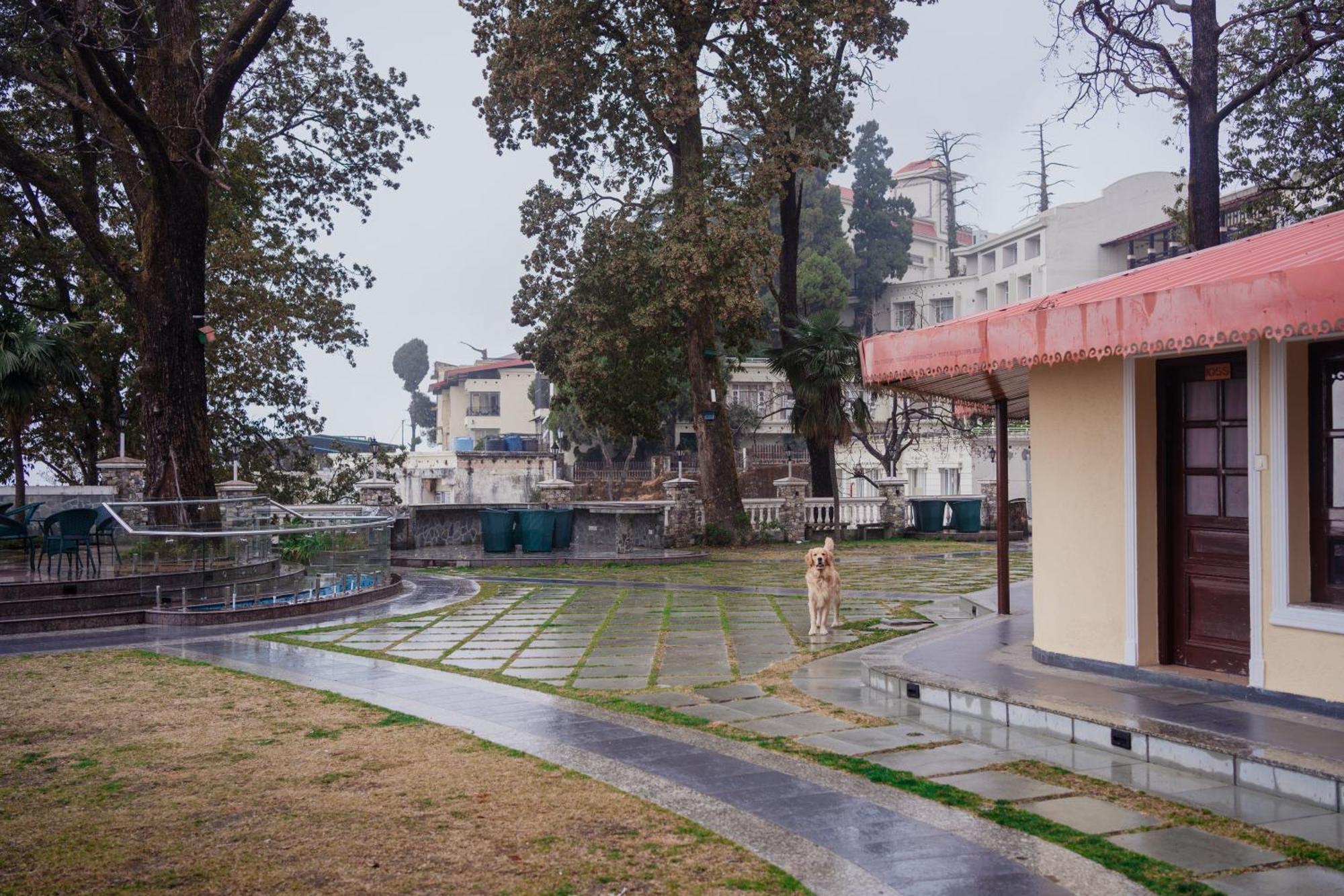 Bliss & Company By Hnh Ξενοδοχείο Mussoorie Εξωτερικό φωτογραφία